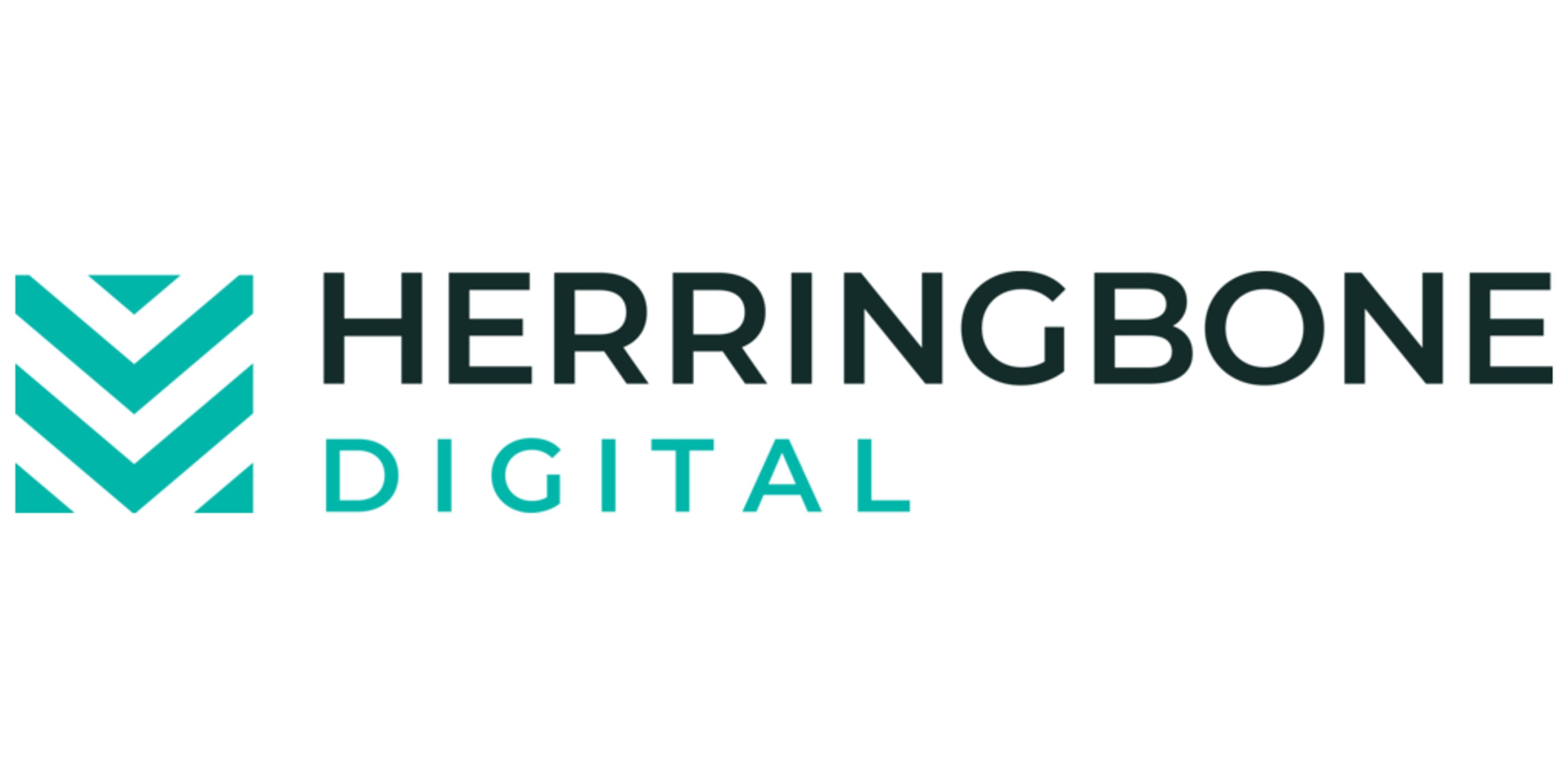 Herringbone digital logo